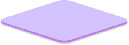 Section 5