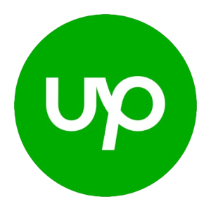 Top Rated Plus Agency (Upwork)