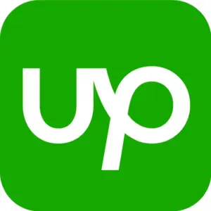 Top Rated Plus Agency (Upwork)